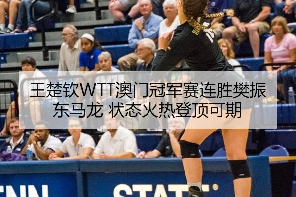 王楚钦WTT澳门冠军赛连胜樊振东马龙 状态火热登顶可期