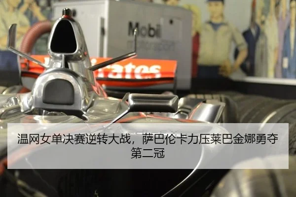 wen-wang-nv-dan-jue-sai-ni-zhuan-da-zhan-sa-ba-lun-ka-li-ya-lai-ba-jin-na-yong-duo-di-er-guan-3-606.jpg